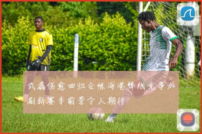 武磊伤愈回归合练海港锋线竞争加剧新赛季前景令人期待